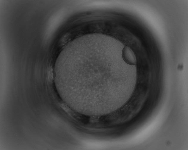 X0000100860766200807181136