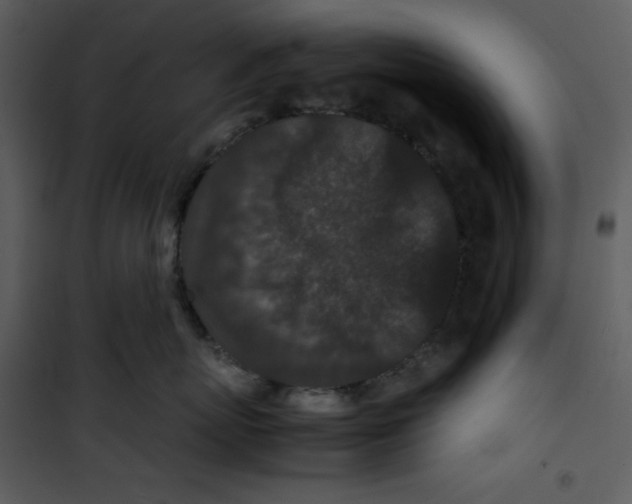 X0000100860767200807181136