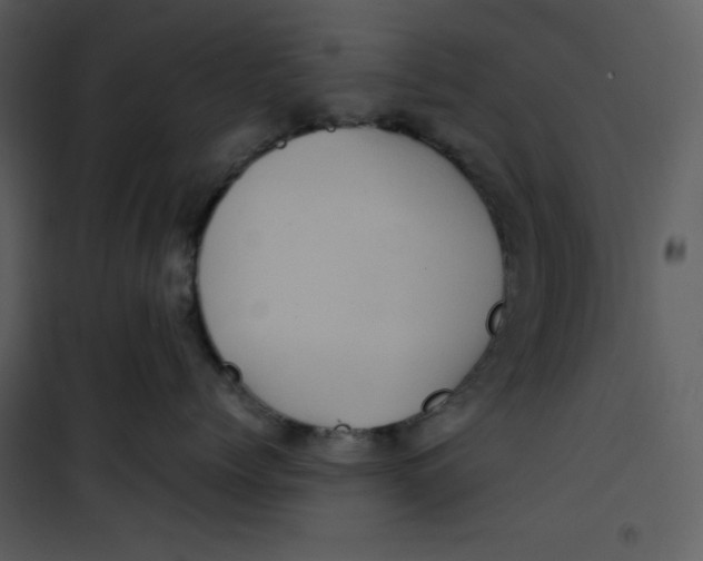 X0000100860768200807181136