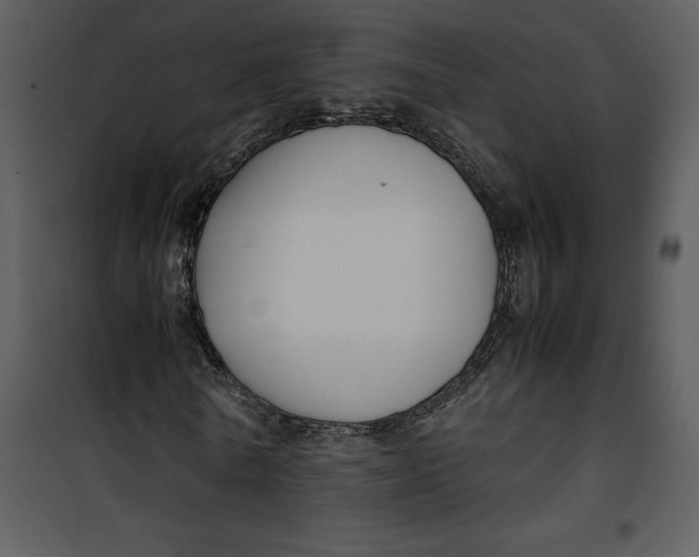 X0000100860770200807181135