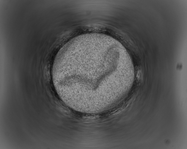 X0000100860771200807181135