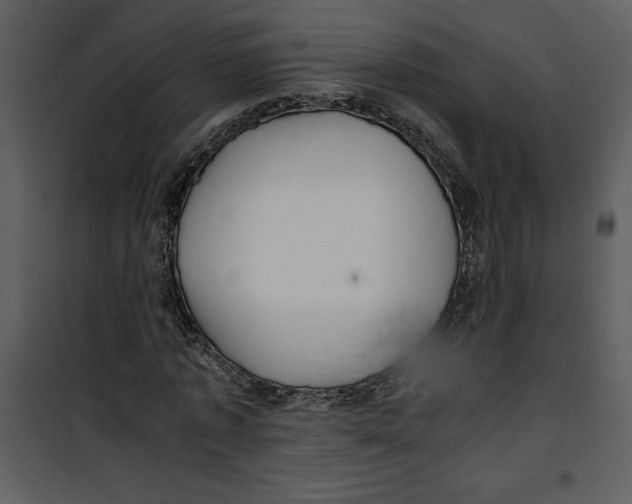 X0000100860773200807181135