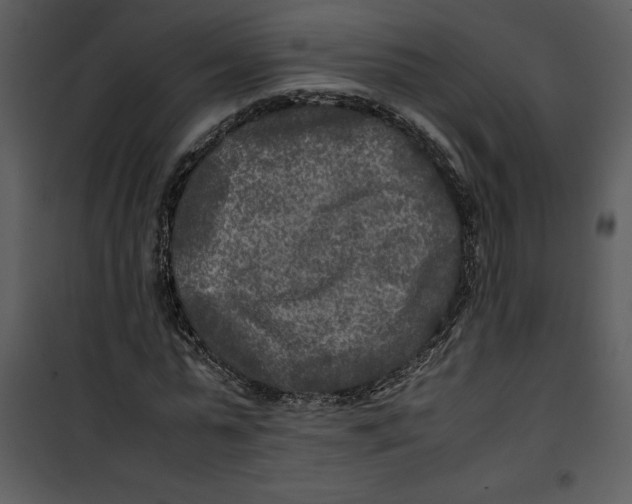 X0000100860775200807181135