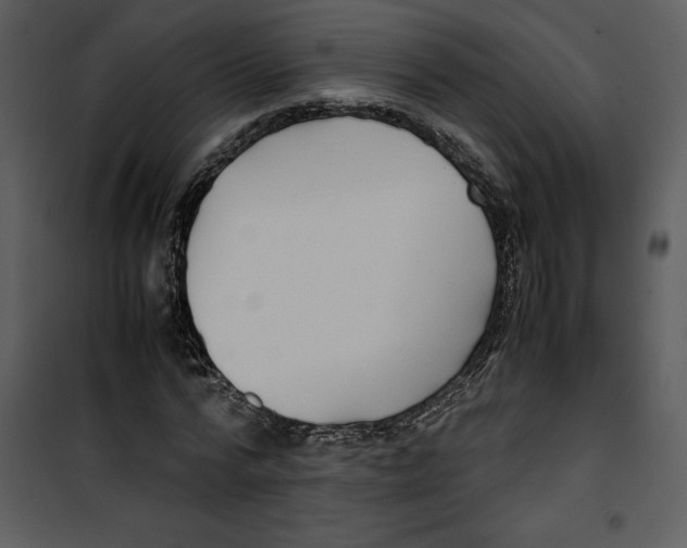 X0000100860776200807181135