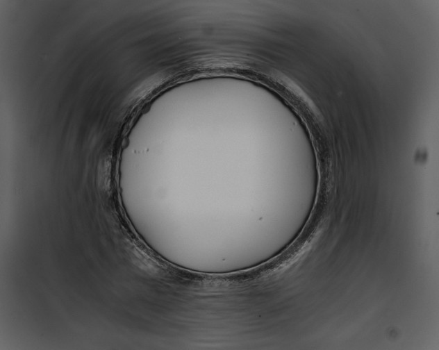 X0000100860777200807181135