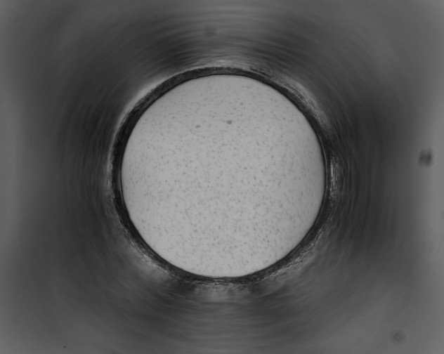 X0000100860780200807181135