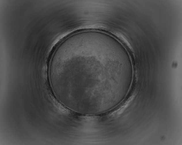 X0000100860781200807181135