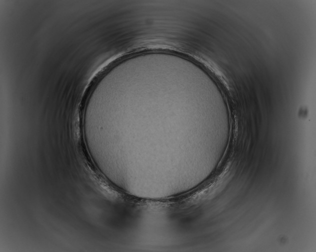 X0000100860782200807181135