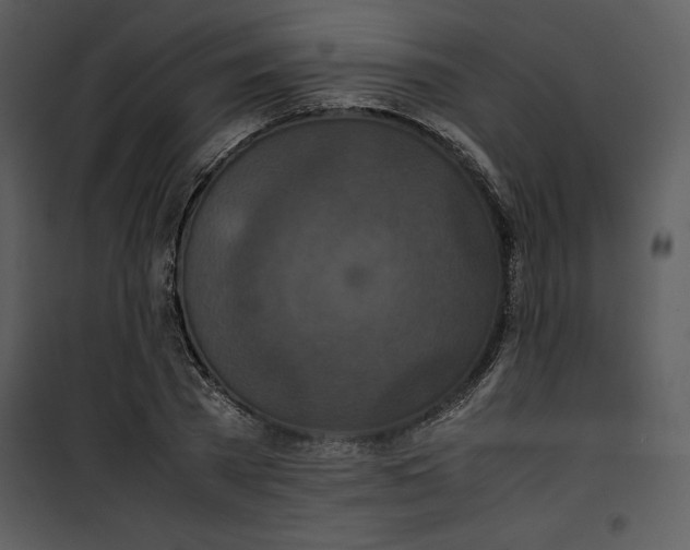 X0000100860785200807181135