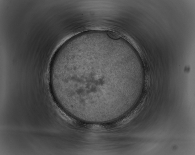 X0000100860787200807181135