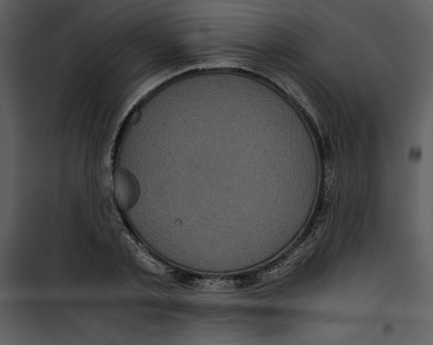 X0000100860789200807181135