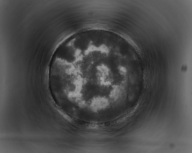 X0000100860790200807181135