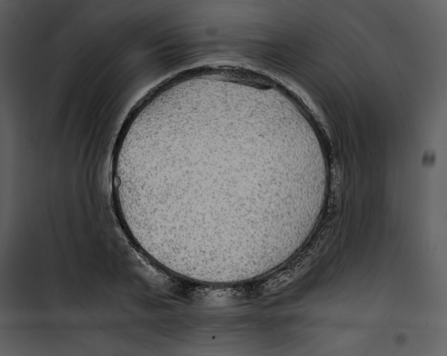 X0000100860791200807181135