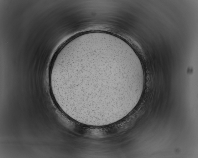 X0000100860792200807181135