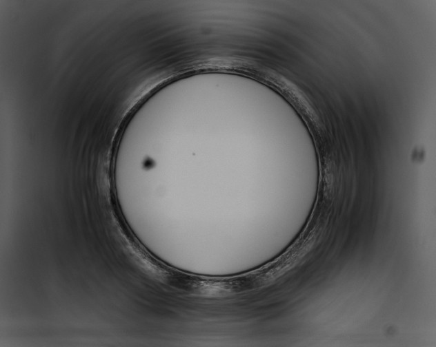 X0000100860794200807181135