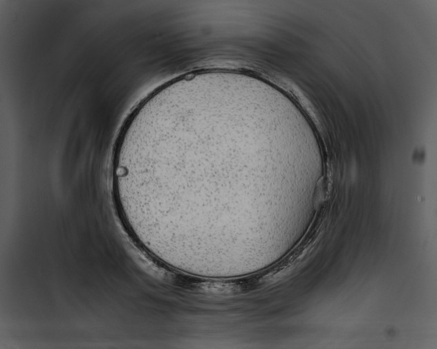 X0000100860795200807181135