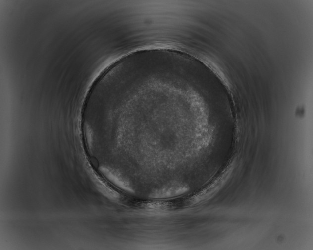 X0000100860797200807181135