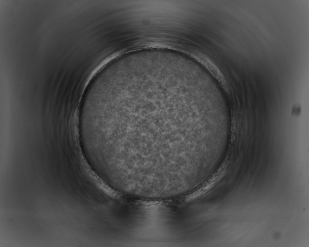 X0000100860798200807181135