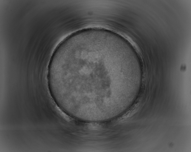 X0000100860799200807181135