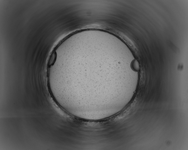 X0000100860800200807181135