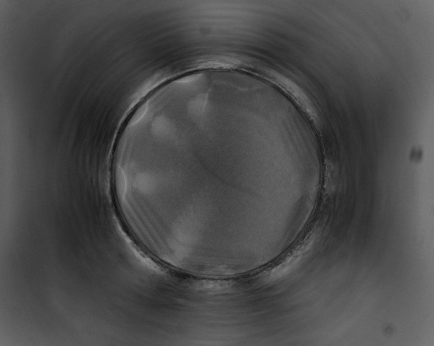 X0000100860802200807181135