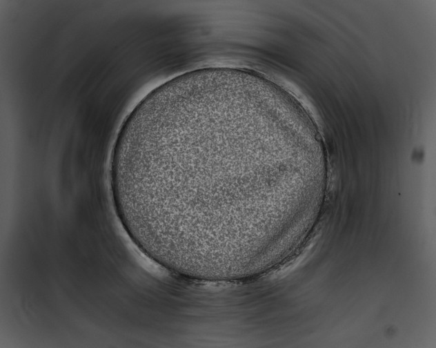 X0000100860803200807181135