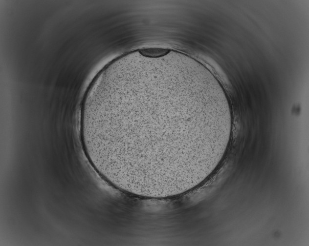 X0000100860804200807181135