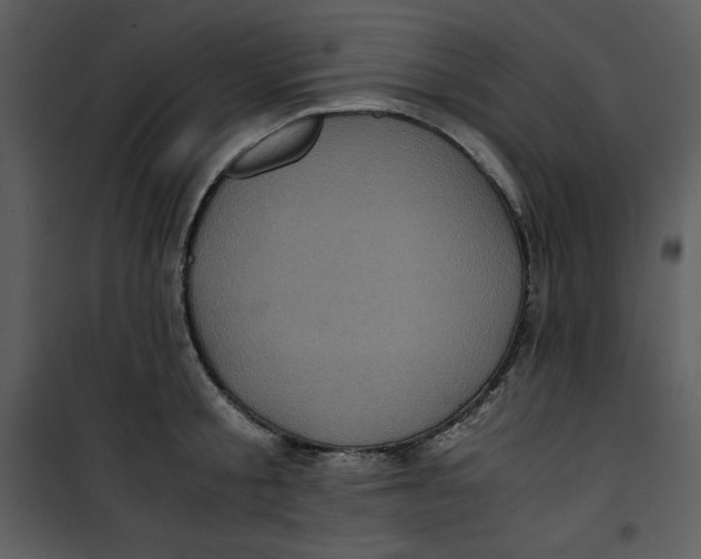 X0000100860805200807181135