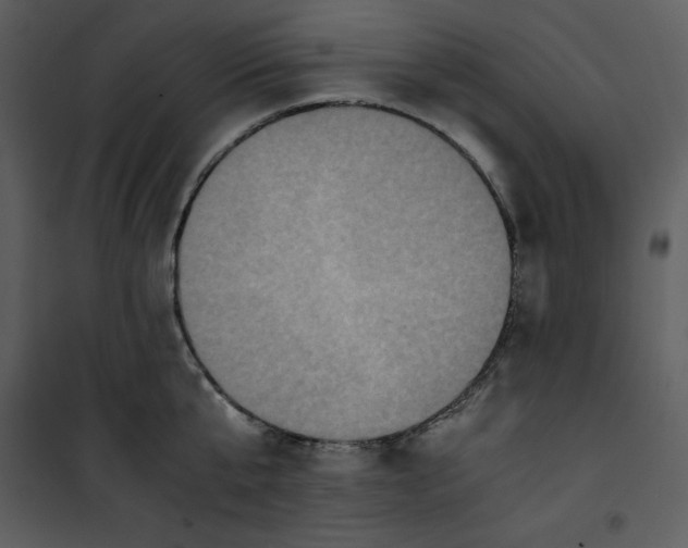 X0000100860807200807181135