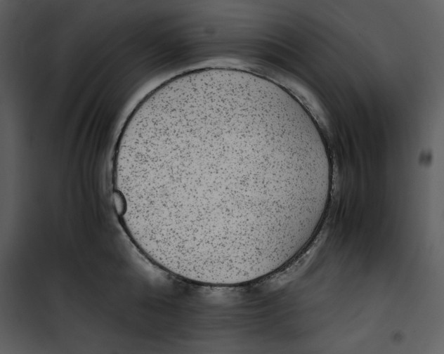 X0000100860808200807181135