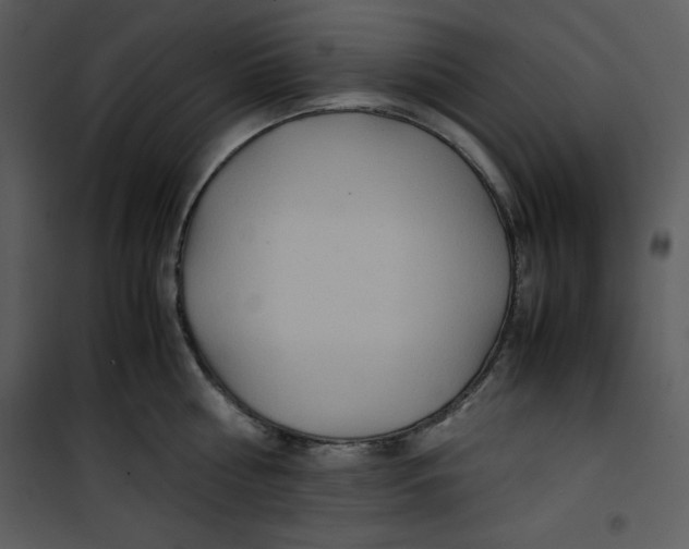 X0000100860810200807181134