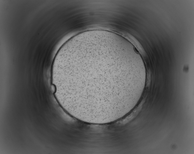 X0000100860812200807181134