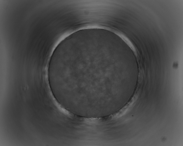 X0000100860813200807181134