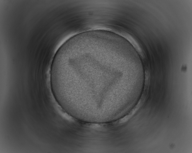 X0000100860814200807181134