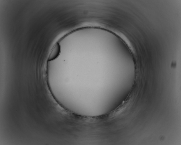 X0000100860815200807181134