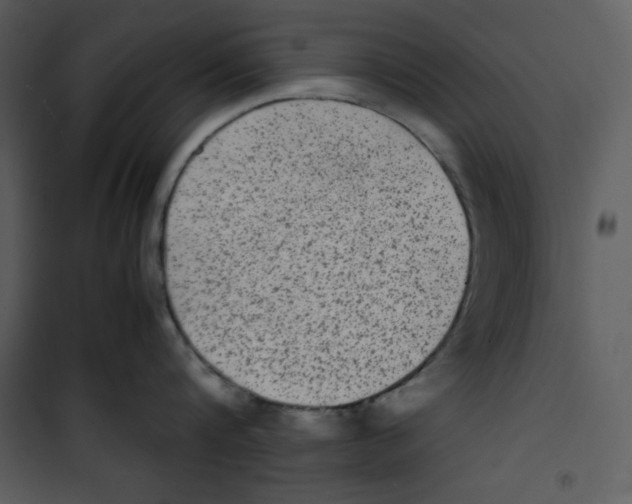 X0000100860816200807181134