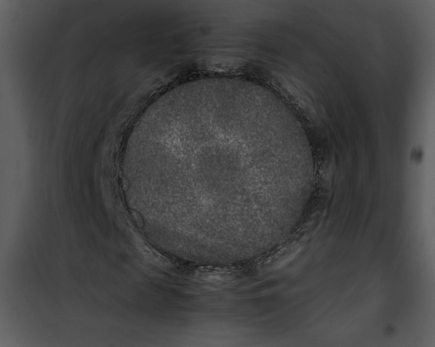 X0000100860817200807181134