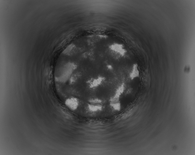 X0000100860818200807181134