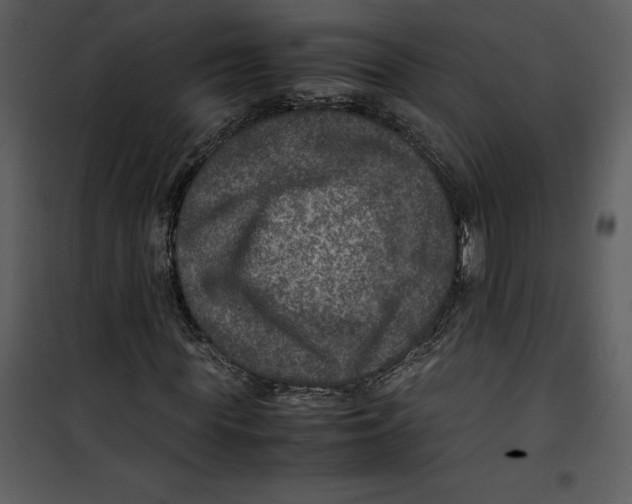 X0000100860819200807181134