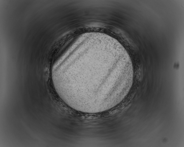 X0000100860821200807181134