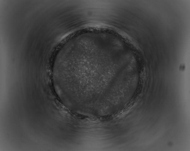 X0000100860822200807181134