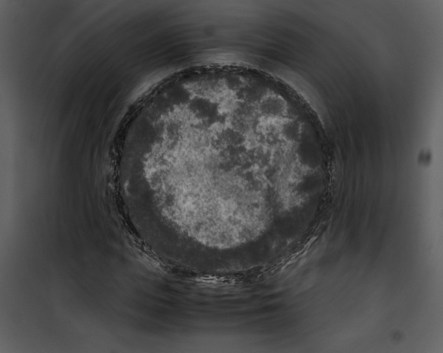 X0000100860823200807181134