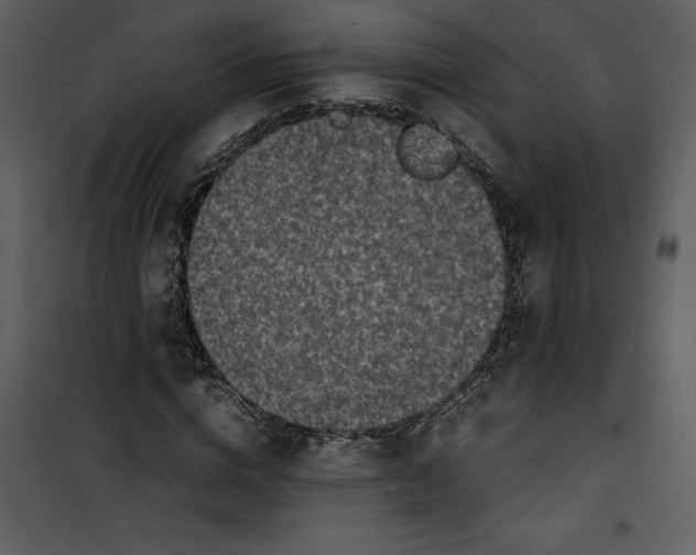 X0000100860824200807181134