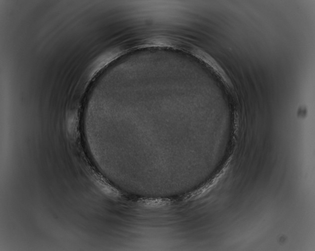 X0000100860826200807181134