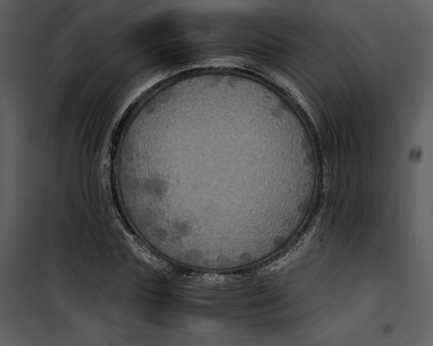 X0000100860827200807181134