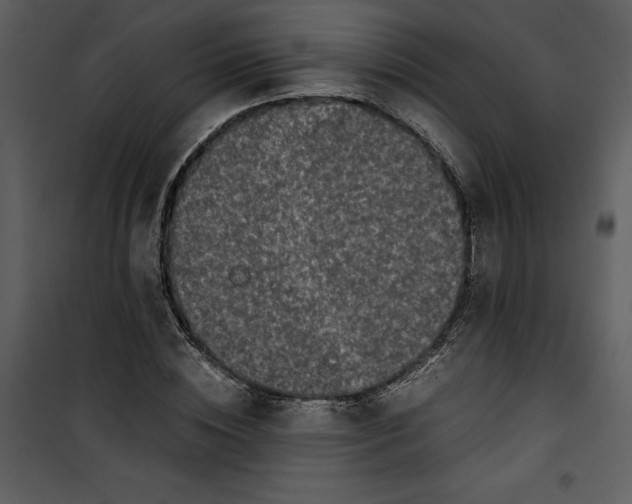 X0000100860828200807181134