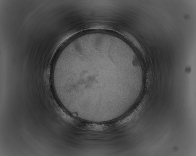 X0000100860831200807181134