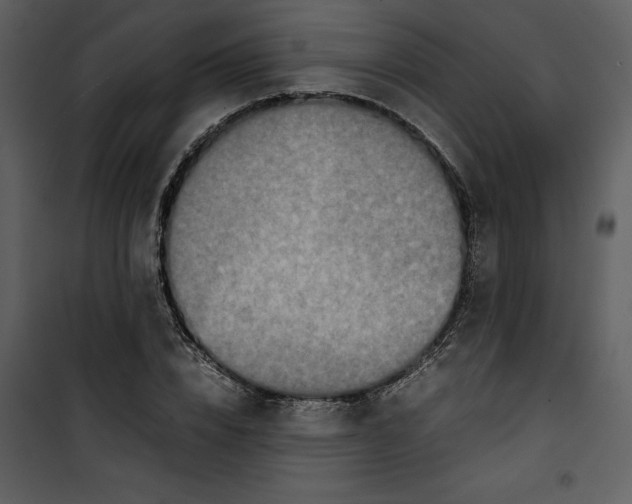 X0000100860832200807181134