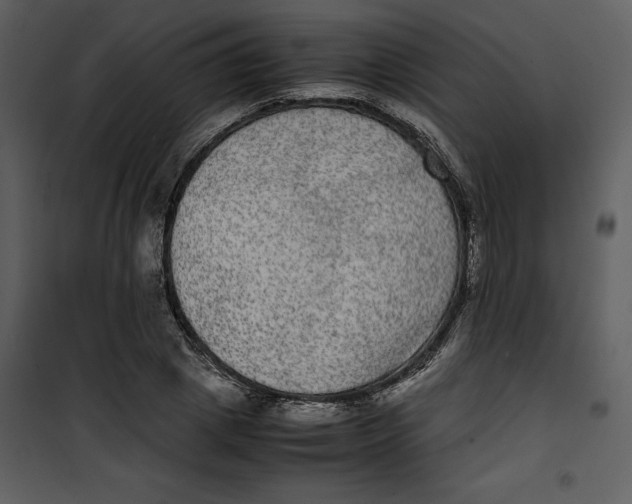 X0000100860833200807181134