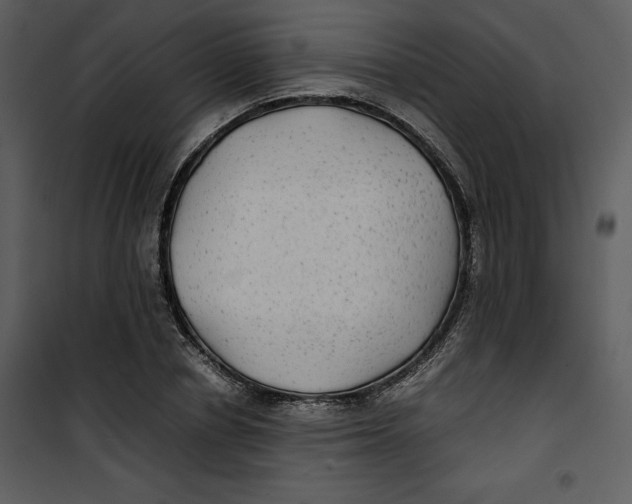 X0000100860834200807181134